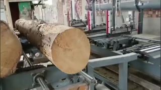 Vertikales Bandsägewerk mit hydraulischem Stammwagen – pneumatischer Stammgreifer