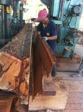 Wood cutting Vertical Band Saw Machine with Log Carriage & Working Foundation