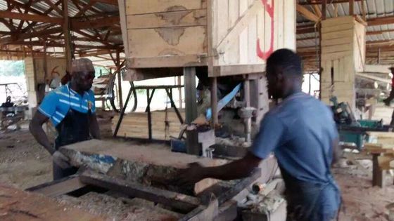 Wood cutting Vertical Band Saw Machine with Log Carriage & Working Foundation