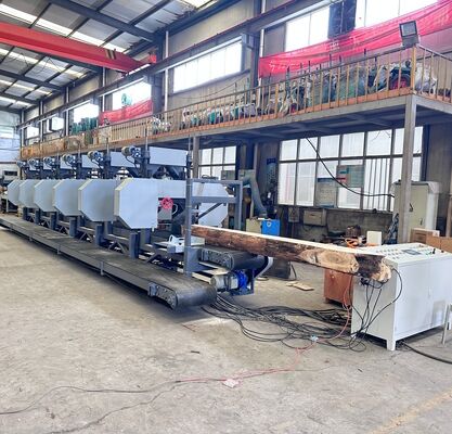 Multi-head Horizontal Resaws with 2 to 300mm Sawing Height and 700mm Saw Wheel Diameter
