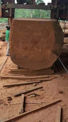 High Quality Log Saw Cutting Machine Large Horizontal Band Sawmills For Big Wood