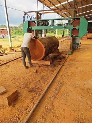 PLC Automatic Setworks Heavy Duty Sawmill Machine Wood Cutting