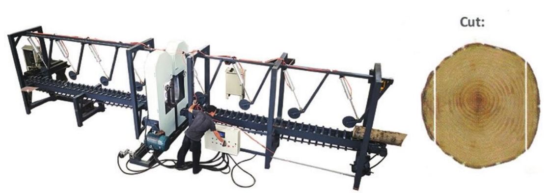 Computer control twin blade vertical band sawmill for sale, Automatic saw equipment for log sawing