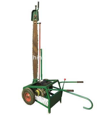 Holzbearbeitung mit abgeschnittenem Sägebaumstamm Durchmesser 2400 mm Holzschneider
