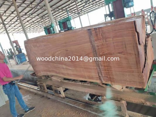 60' Schwere CNC-Holzsägemaschine Vertikalband Sägemühle Handels-Log-Schnittsäge für Holz