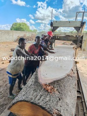 Portable Wood Cutting Band Saw Sawmill Horizontale Holzband Saummaschine für Holzbearbeitung Band Saum für Holzschneiden