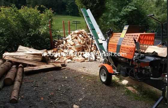 Benzin-Benzin-Motor-Logsplitter Feuerholz-Holzverarbeiter für den Straßenverkehr zugelassen